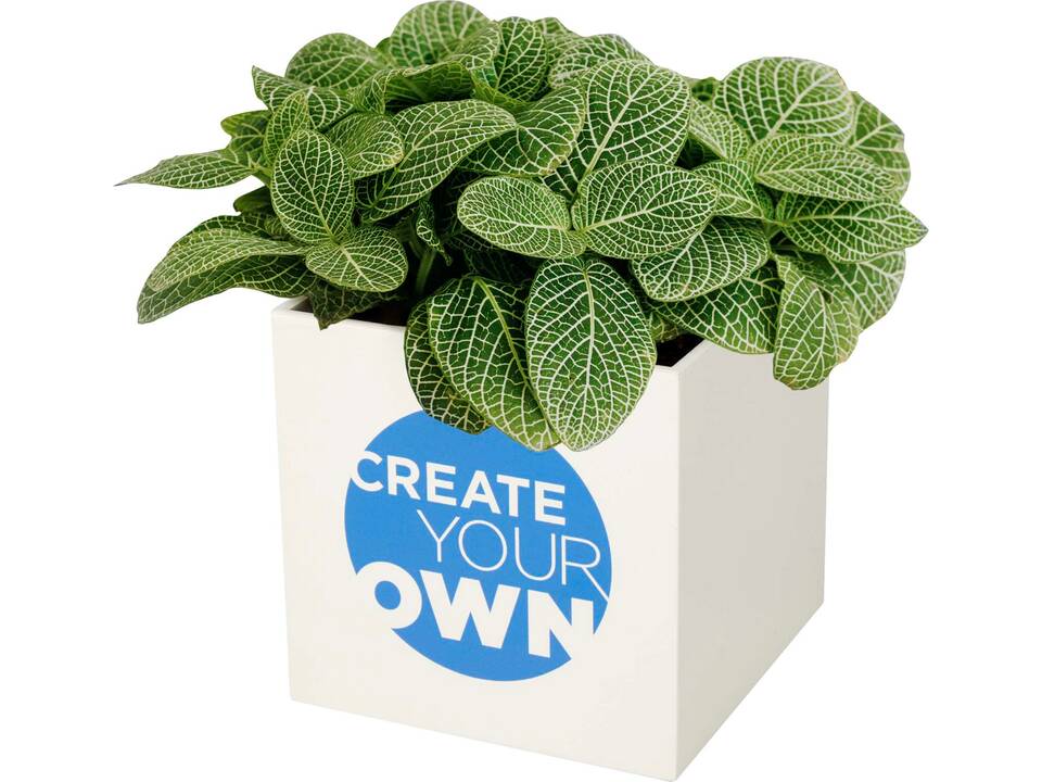 Hey Pots aluminium bloempot, vetplant 4