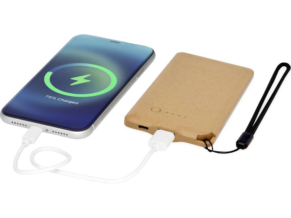 Eco powerbank 4000 mAh 6