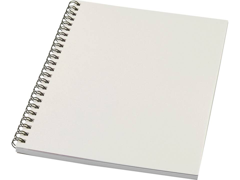 Desk-Mate® A5 kleuren spiraal notitieboek