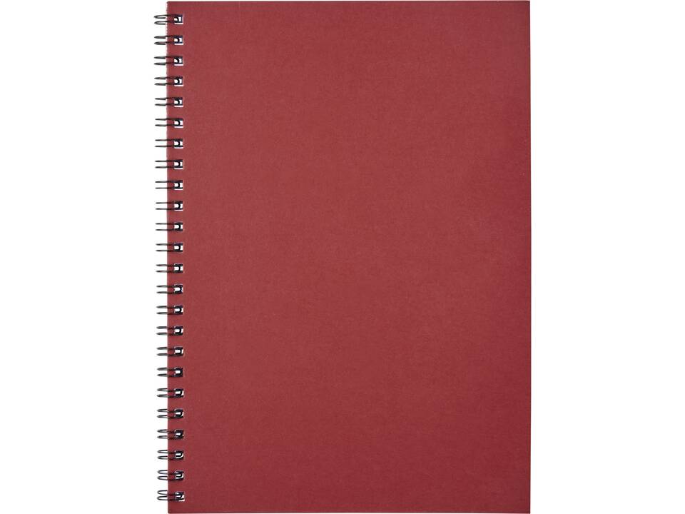 Desk-Mate® A5 kleuren spiraal notitieboek 7