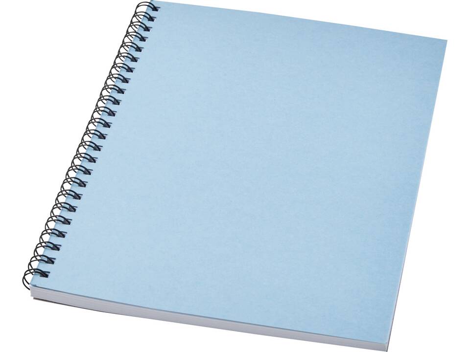 Desk-Mate® A5 kleuren spiraal notitieboek 9