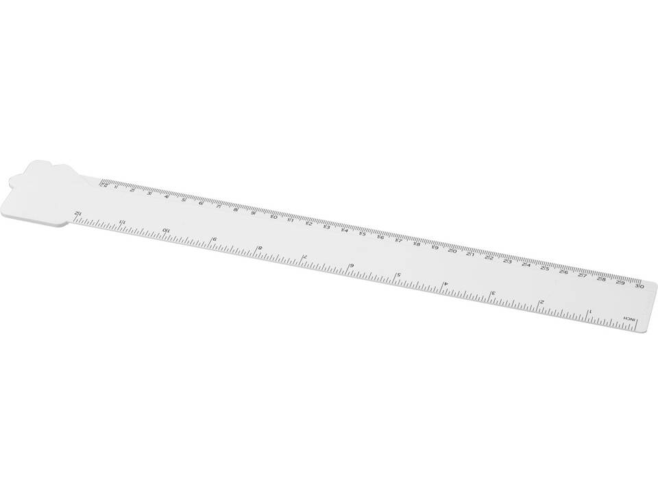 Tait liniaal van 30 cm in de vorm van een huis van gerecycled plastic 1