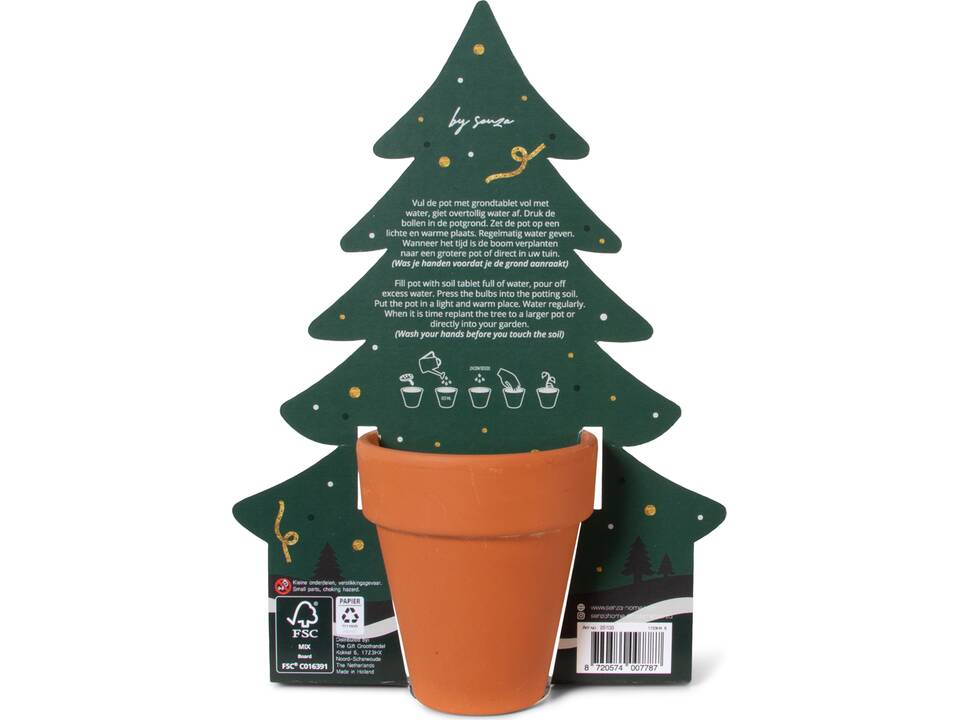 SENZA Groei Je Eigen Kerstboom 2