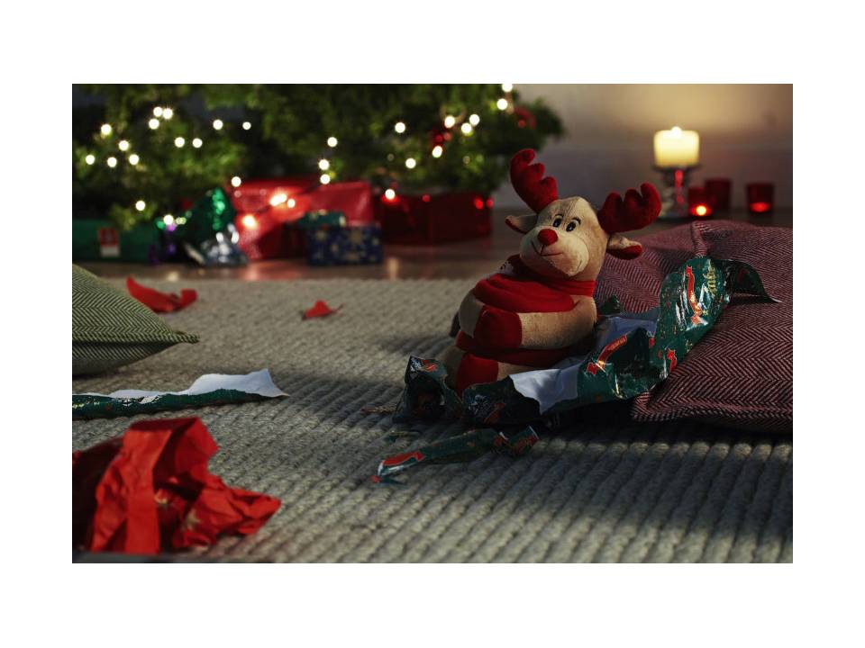 Kerstknuffel met fleecedeken 1