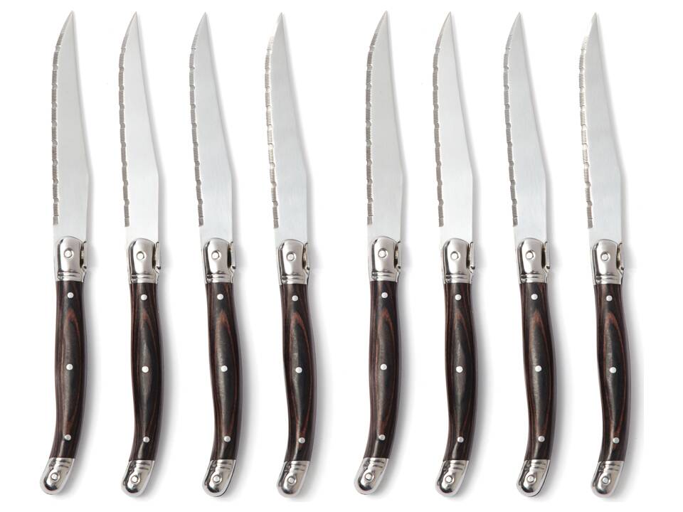 VINGA Gigaro steakmessenset 2