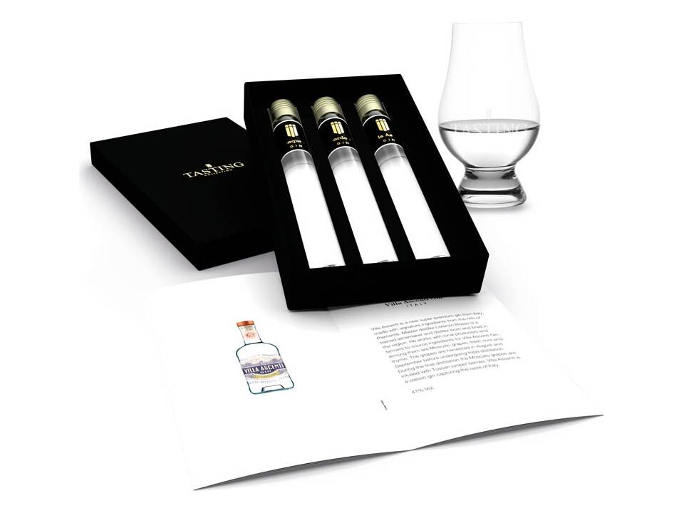 350108 Gin tasting