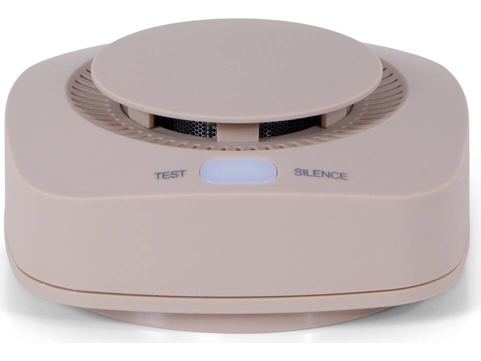 BRAINZ Rookmelder 14