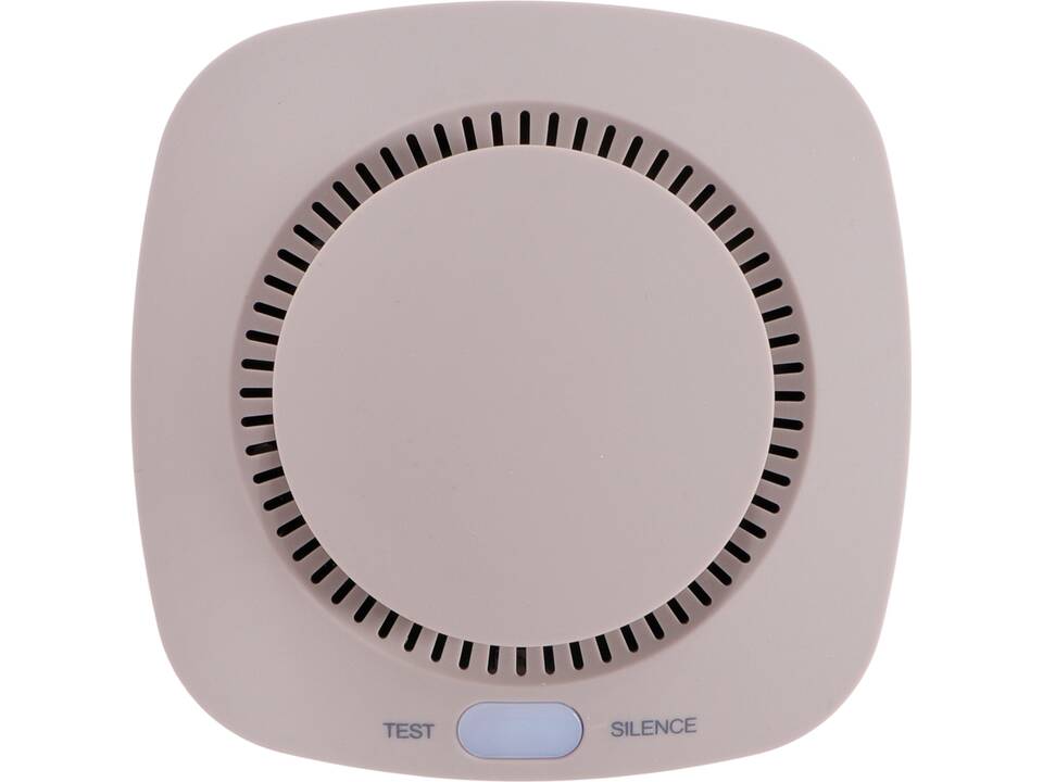 BRAINZ Rookmelder 16