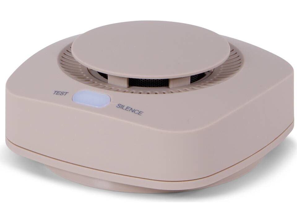 BRAINZ Rookmelder 12