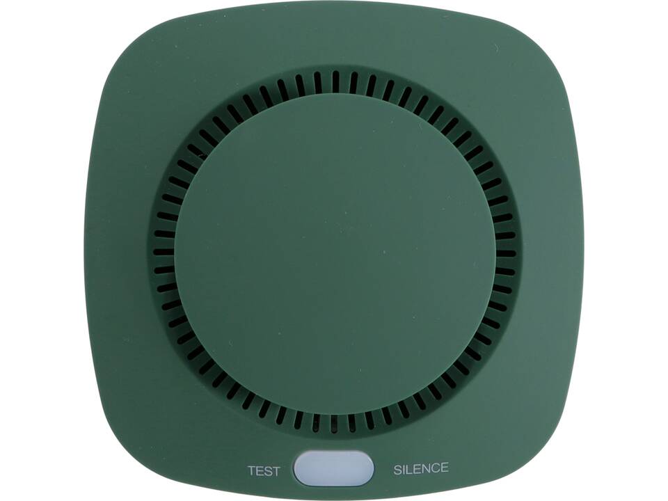 BRAINZ Rookmelder 11