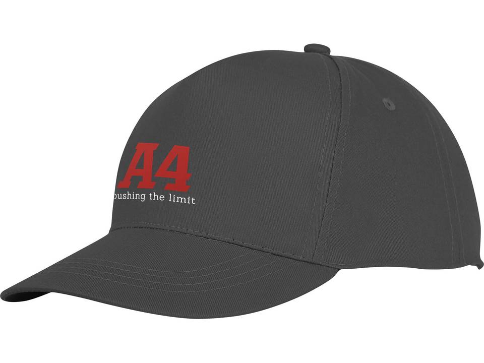 Hades 5 panel cap 12