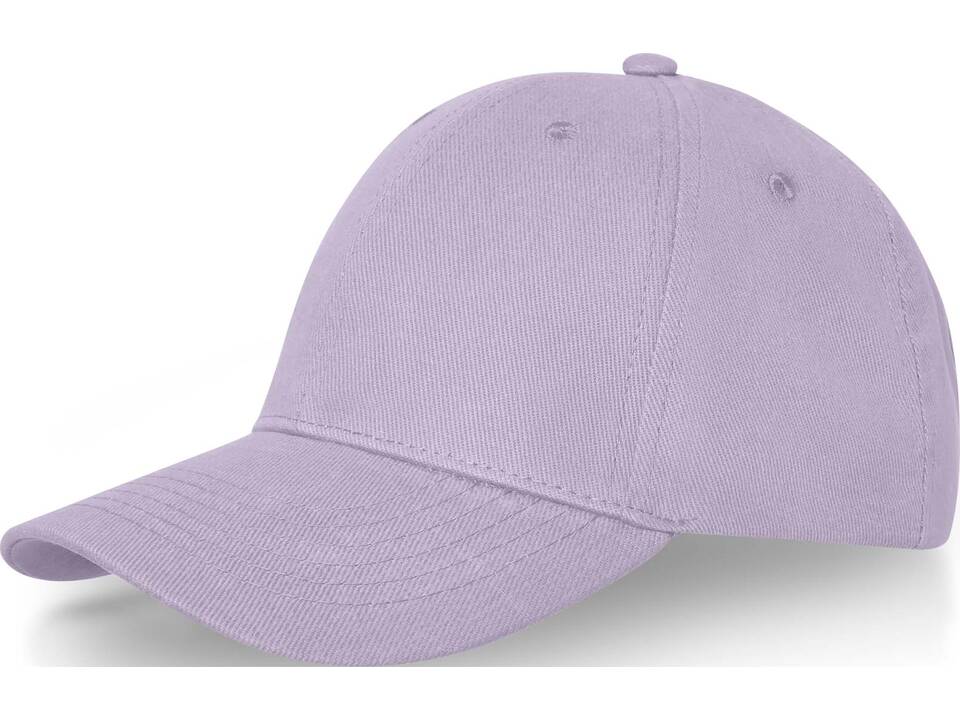 Davis 6 panel cap 13