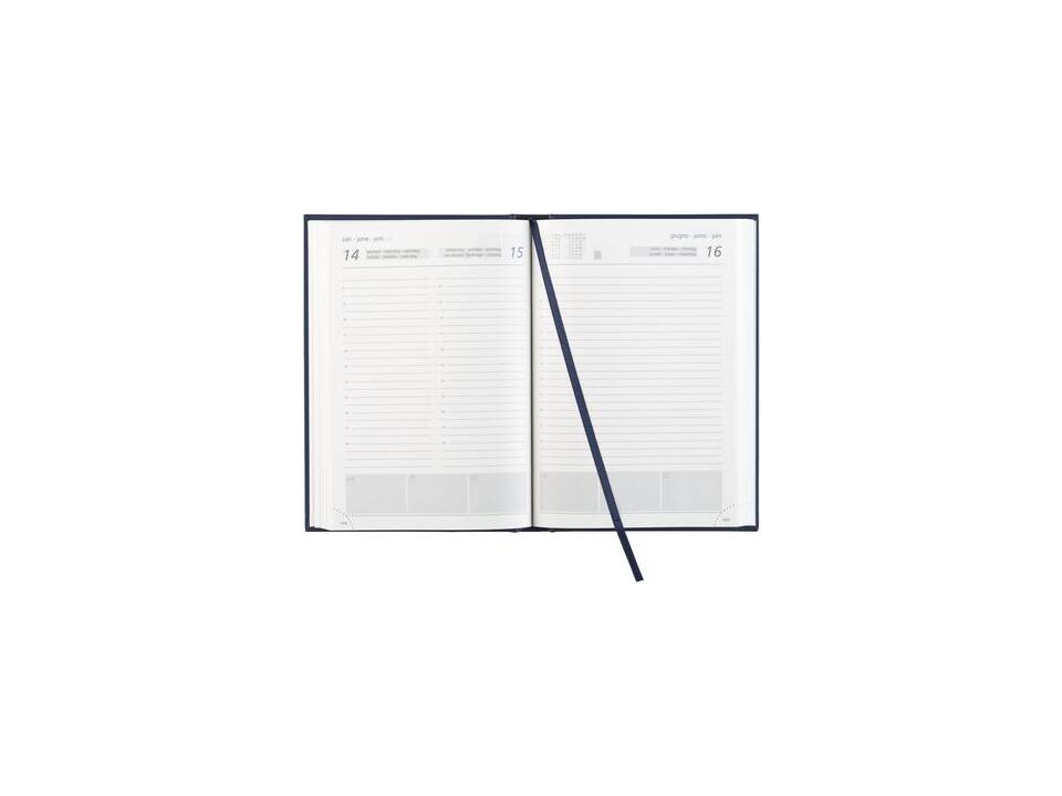 Europoint Balacron agenda 6-talig 1