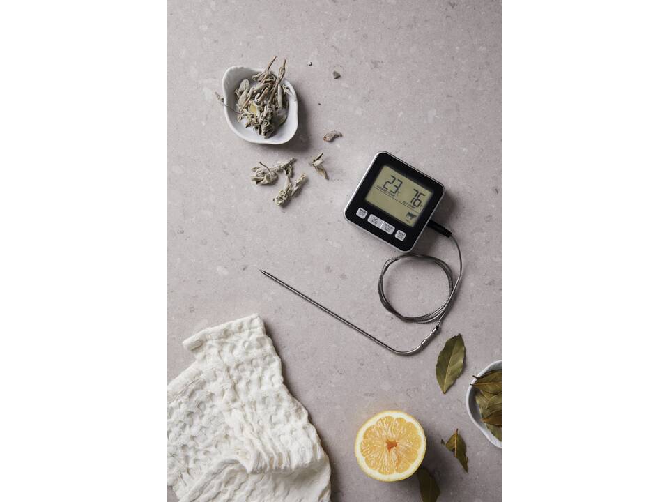 VINGA Hays thermometer 2