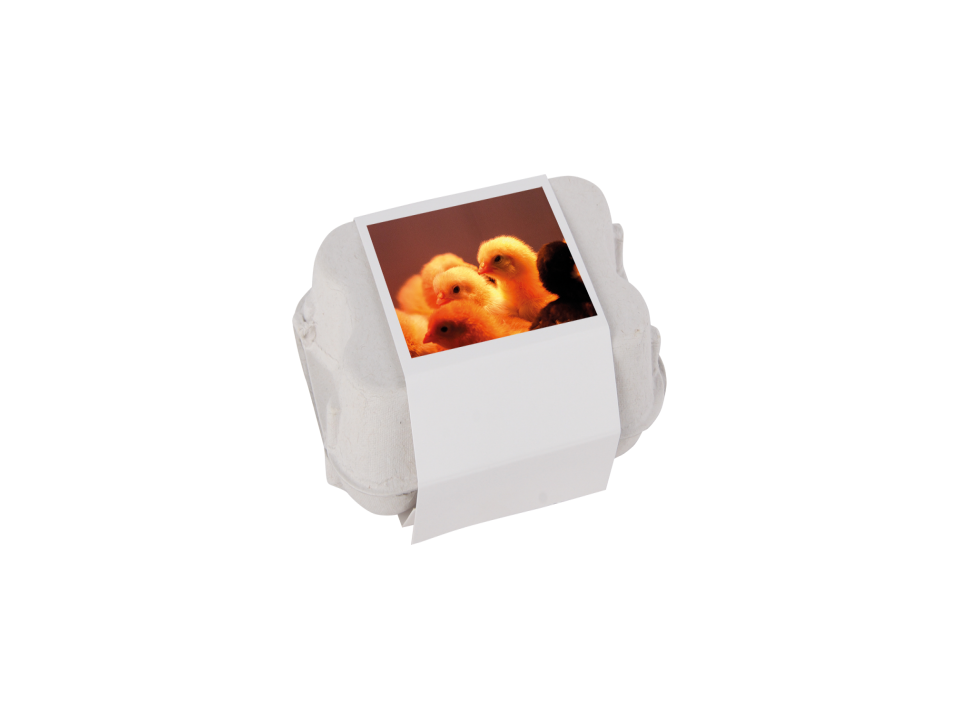 Eierdoosje met 6 paaseitjes 4