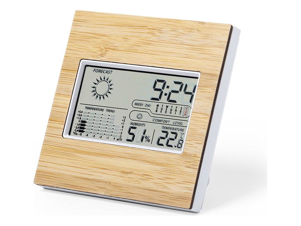 Weerstation Bamboe 1