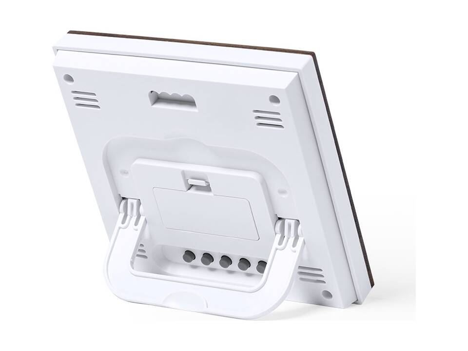 Weerstation Bamboe 2