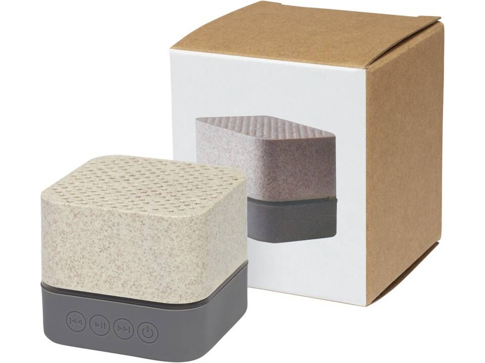 Aira tarwestro Bluetooth speaker