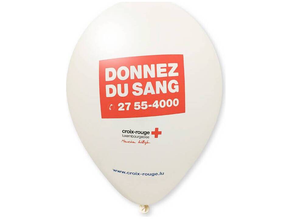 Ballonnen Ø27 cm - 2 kleuren bedrukking