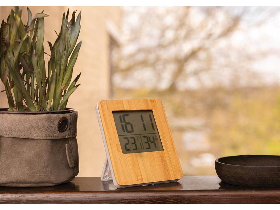 Bamboe weerstation 5