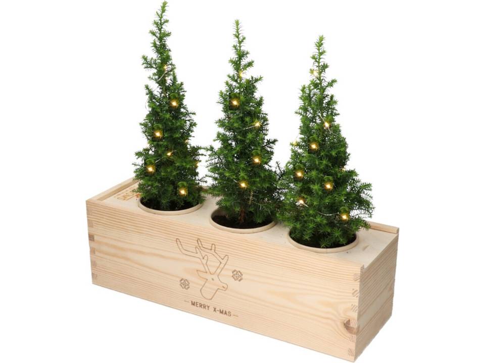 Bloomsbox met kerstboompjes