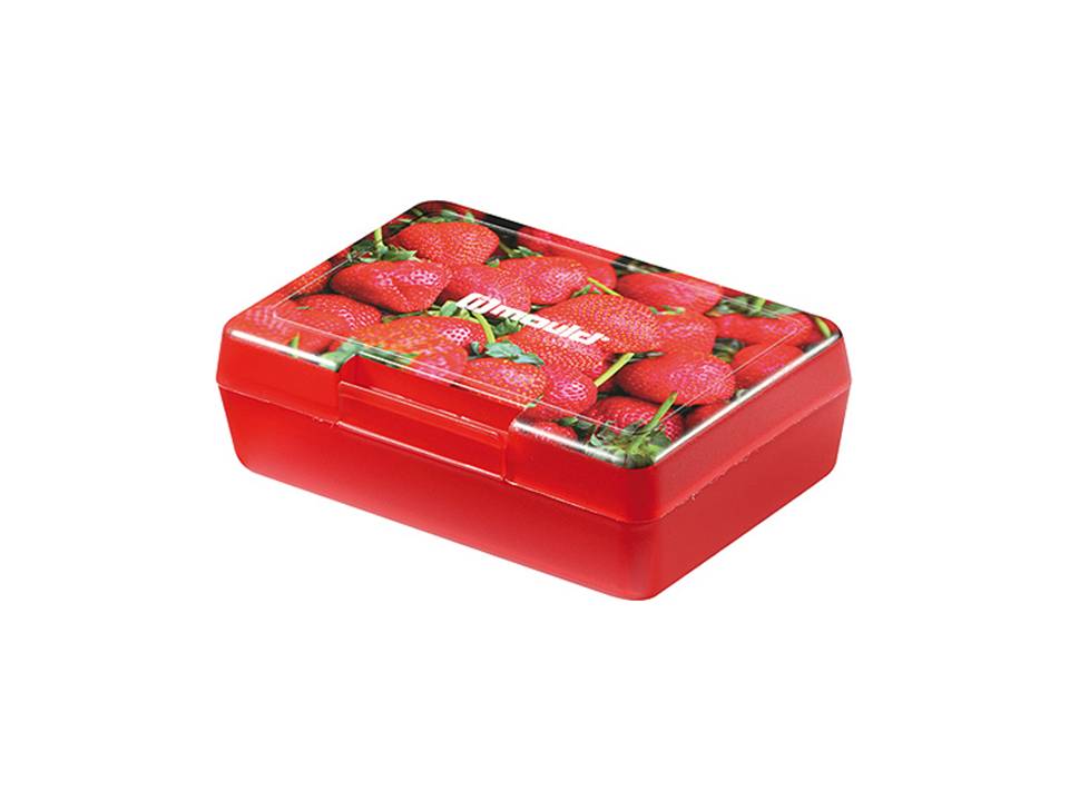 Brunchbox 12,5 x 8,5 x 4 cm 10