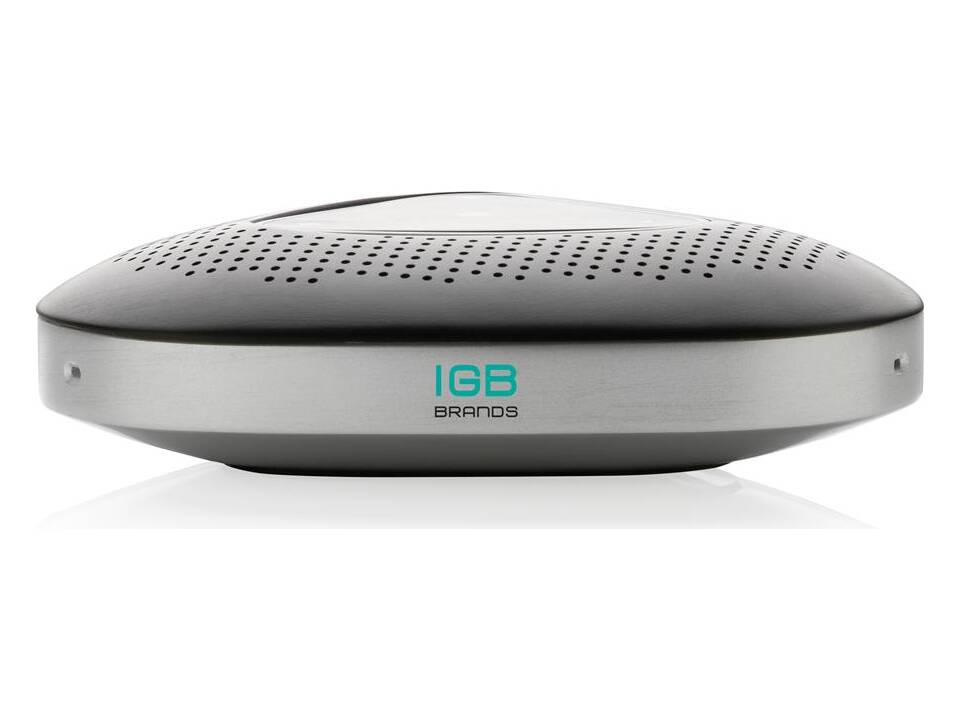 Conference call speaker 4