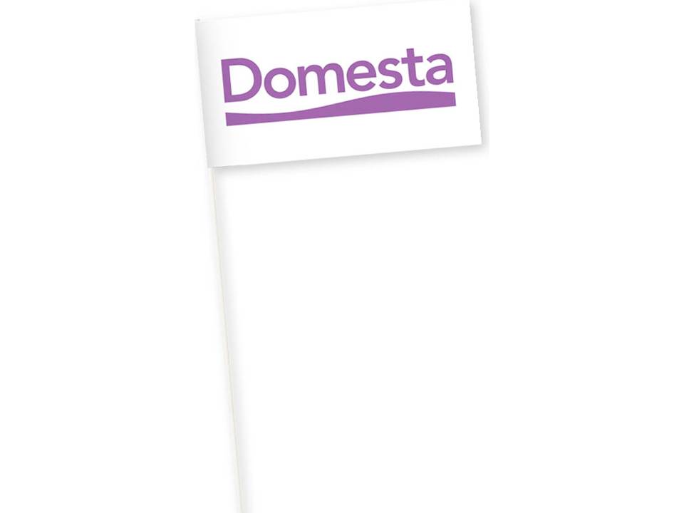 Promo vlaggetjes - papier 2