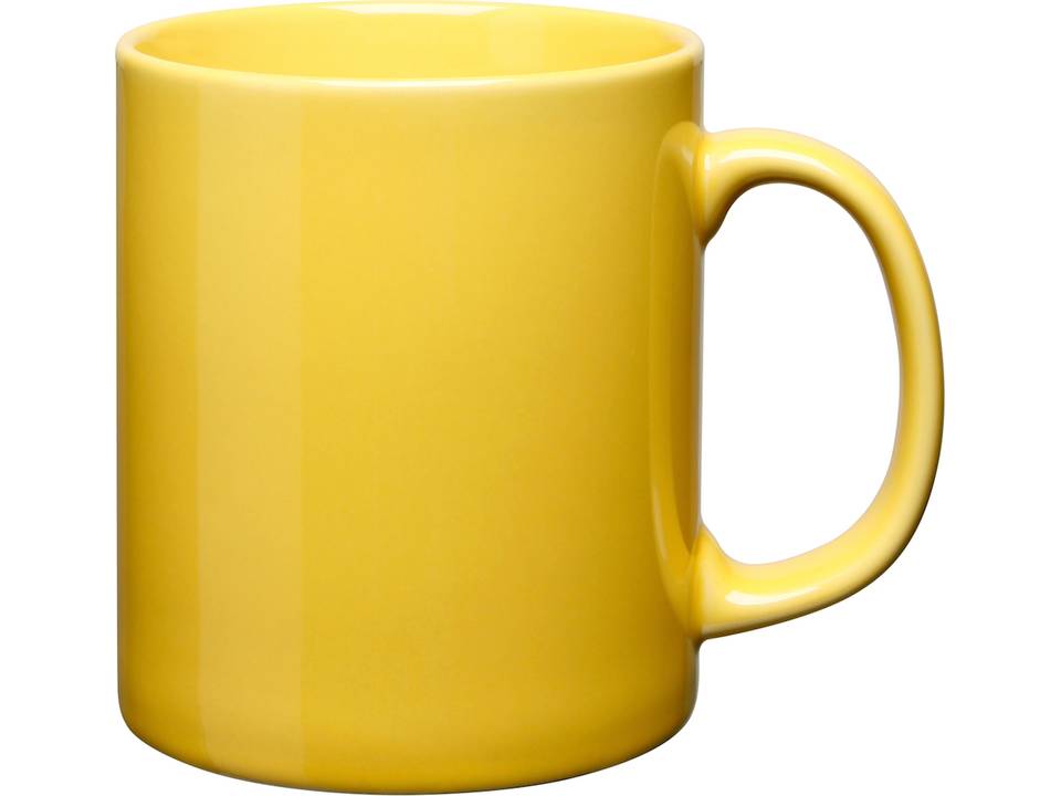 Gekleurde Durham Cambridge Mokken - 285 ml 10