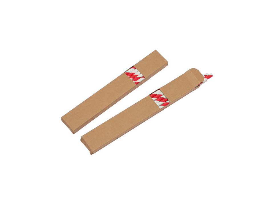 Ecologische set met 10 papieren rietjes 2