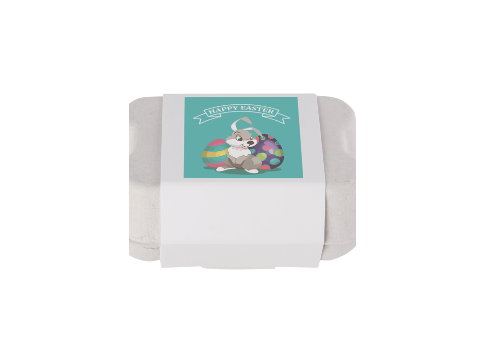 Eierdoosje met 6 paaseitjes 3