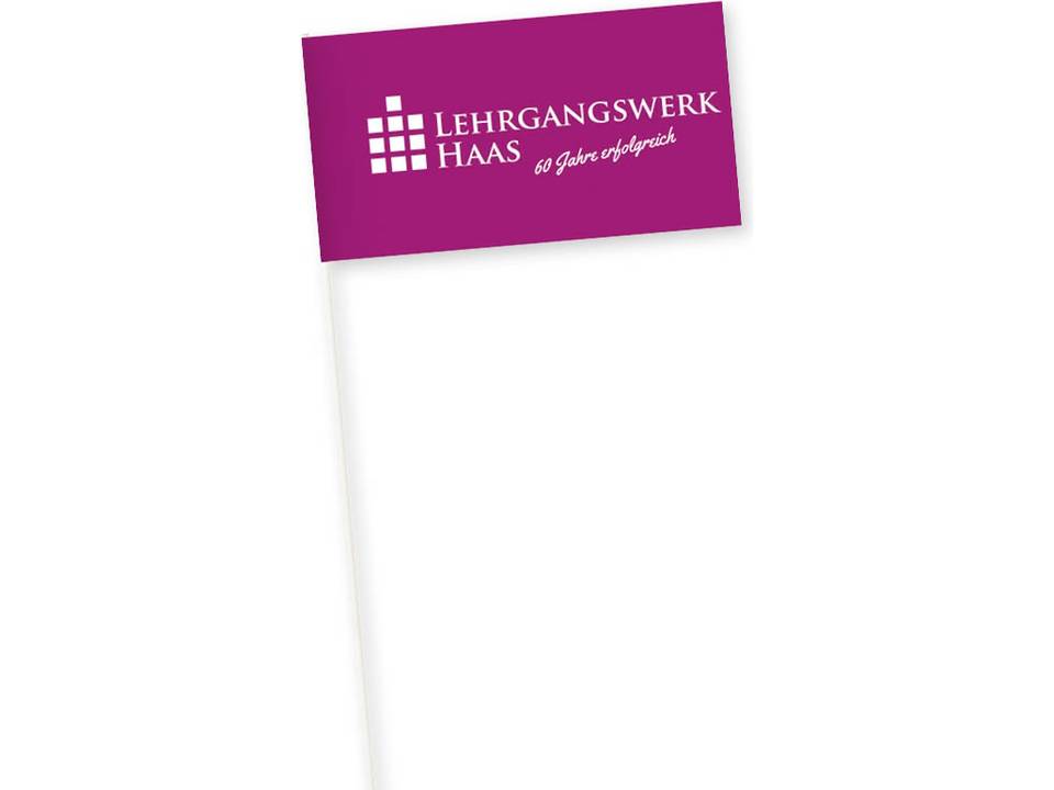 Promo vlaggetjes - papier 3