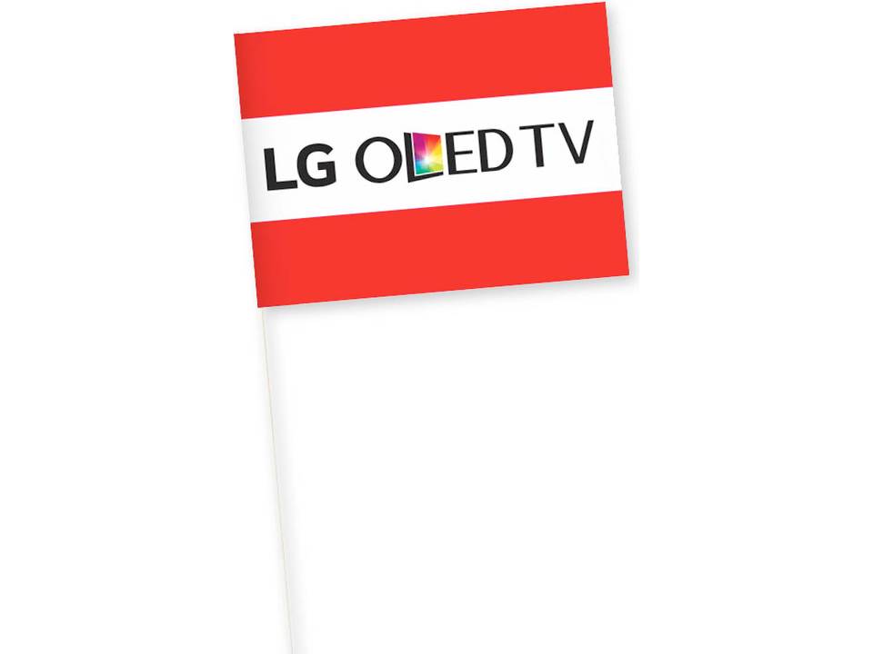 Vlaggetjes 21 x 31 cm 2