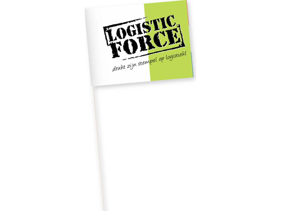 Vlaggetjes 14,8 x 22 cm 5