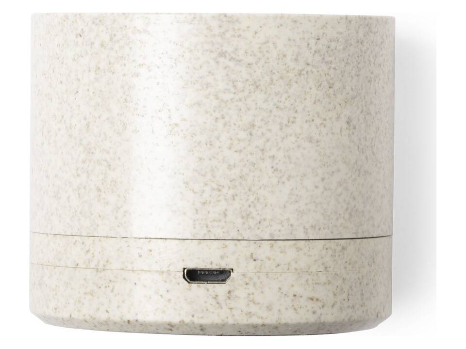 Bluetooth Eco Luidspreker 2