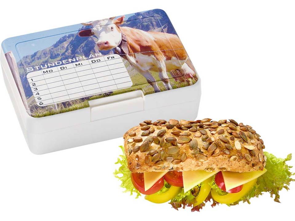 Lunchbox brooddoos 16,2 x 11,3 x 5 cm 12