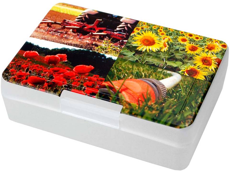 Lunchbox brooddoos 16,2 x 11,3 x 5 cm 10