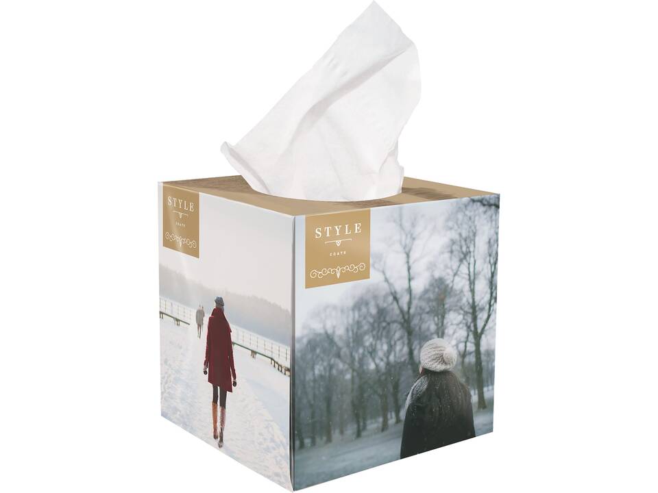 Maxi Box met papieren zakdoekjes 1