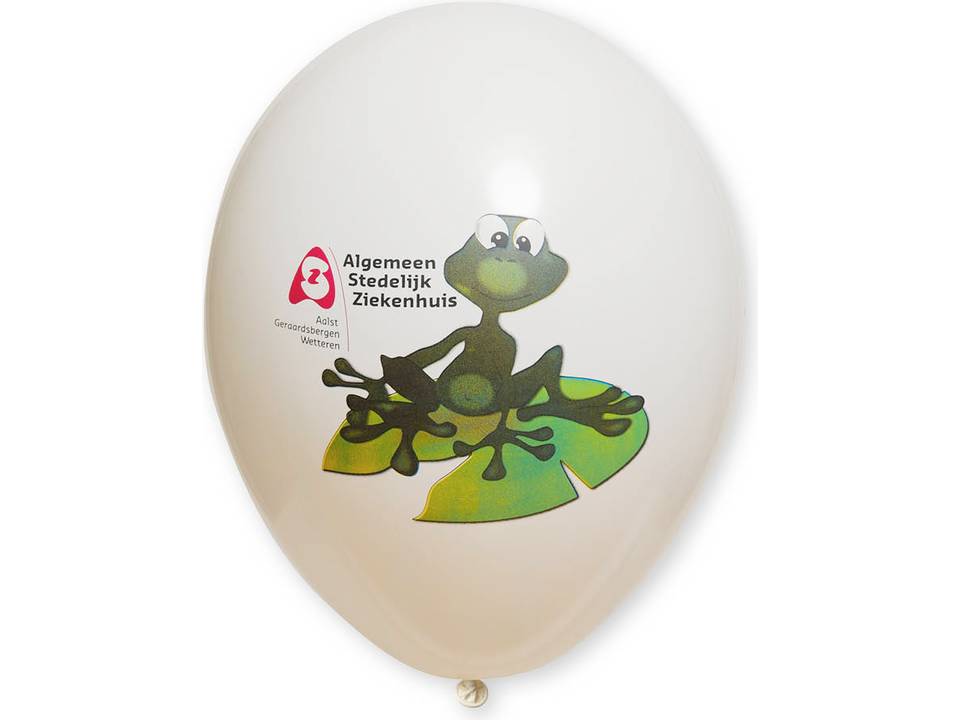 Ballonnen Ø27 cm - met full colour bedrukking 14