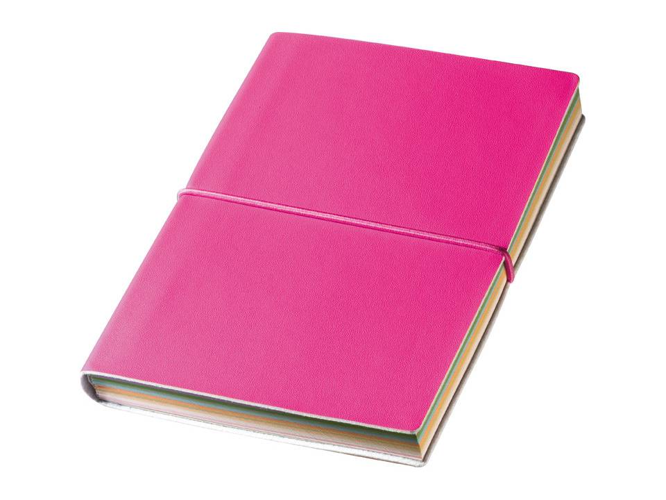 Notitieboekje met gekleurde pagina's 4