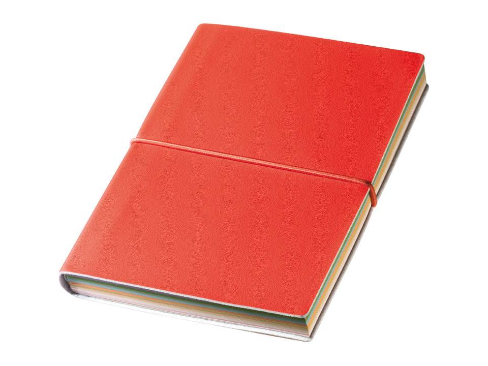 Notitieboekje met gekleurde pagina's 5