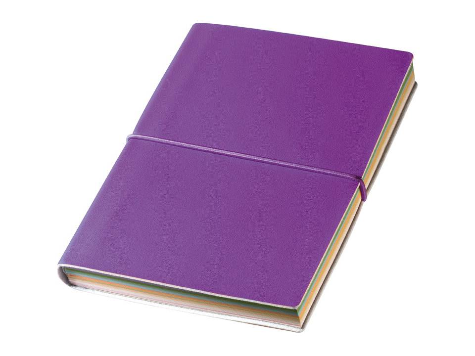 Notitieboekje met gekleurde pagina's 3
