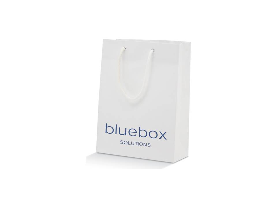 Grote papieren tas 40x30x12cm 1