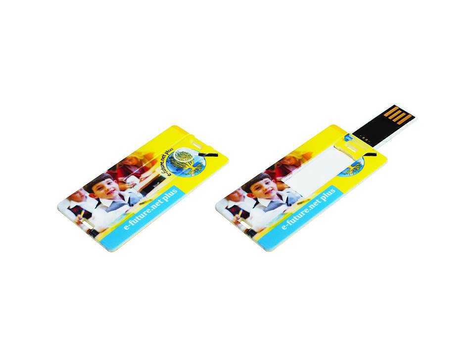 USB Mini Card - 4GB 2