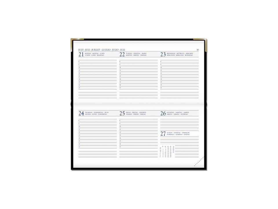 Zakagenda Pointer New Calf 1