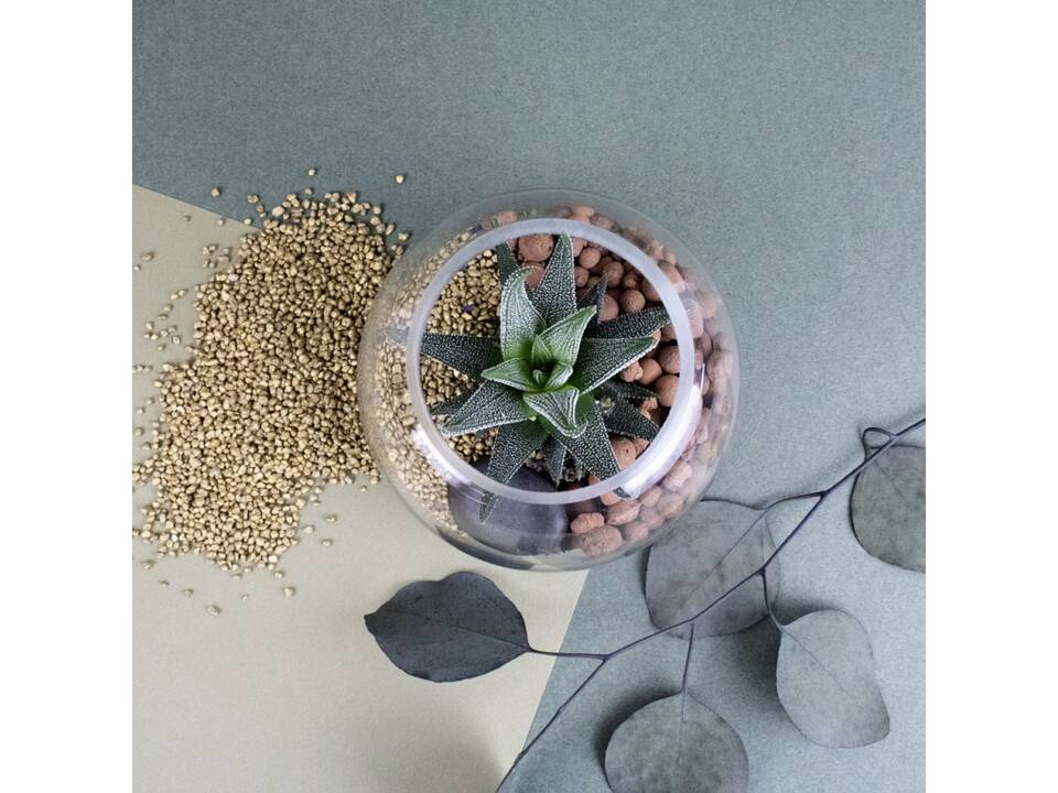 Mini-Terrarium Diy Kit 1