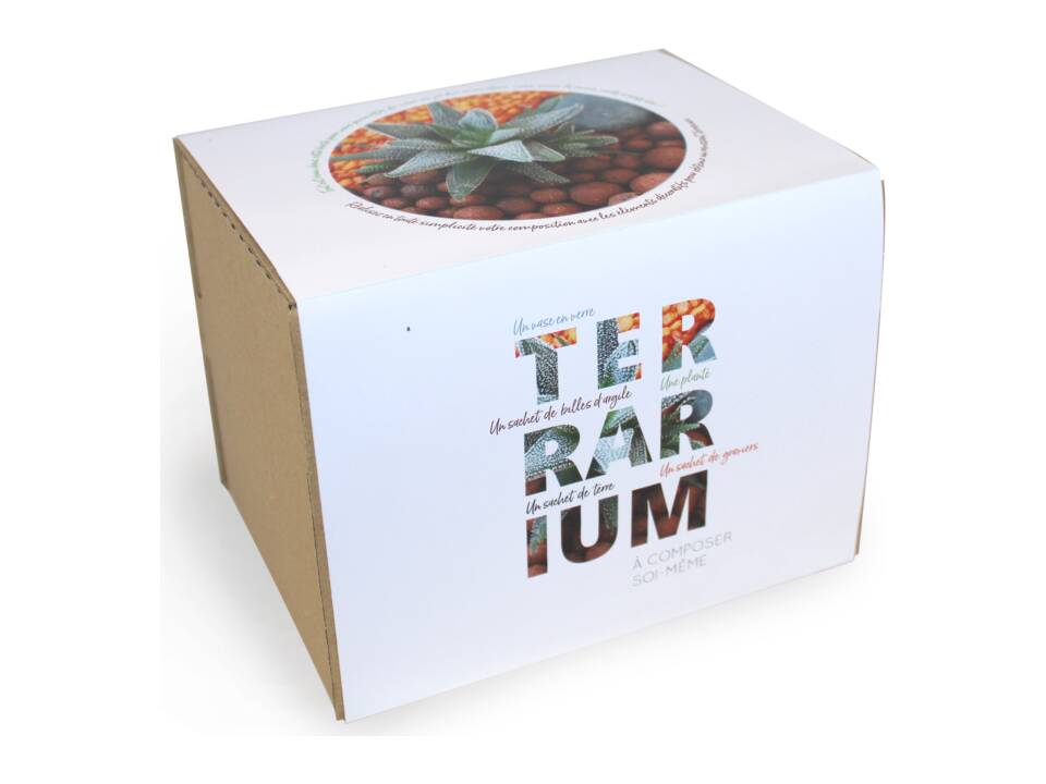 Mini-Terrarium Diy Kit 4