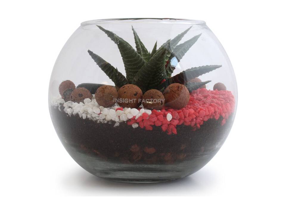 Mini-Terrarium Diy Kits