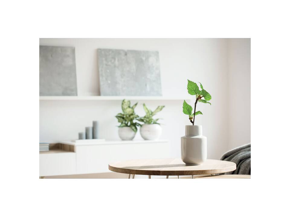 A5 berken GROWBOOK™ 17