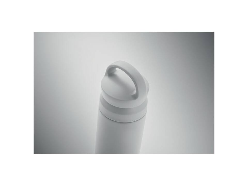 Dubbelwandige fles 320ml 6